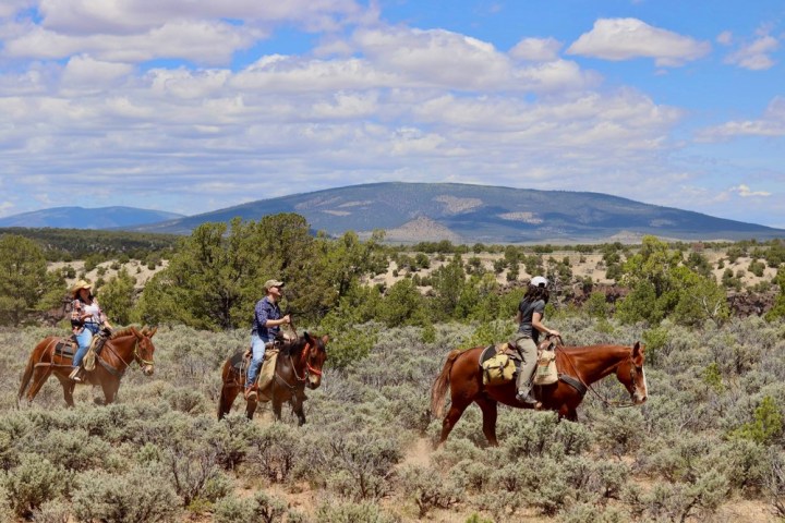 a group of people riding on the back of a brown horse